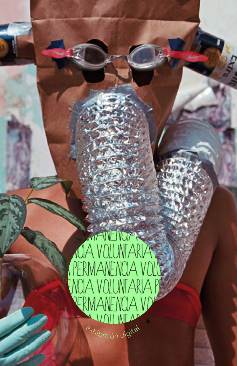 Permanencia voluntaria, 2020