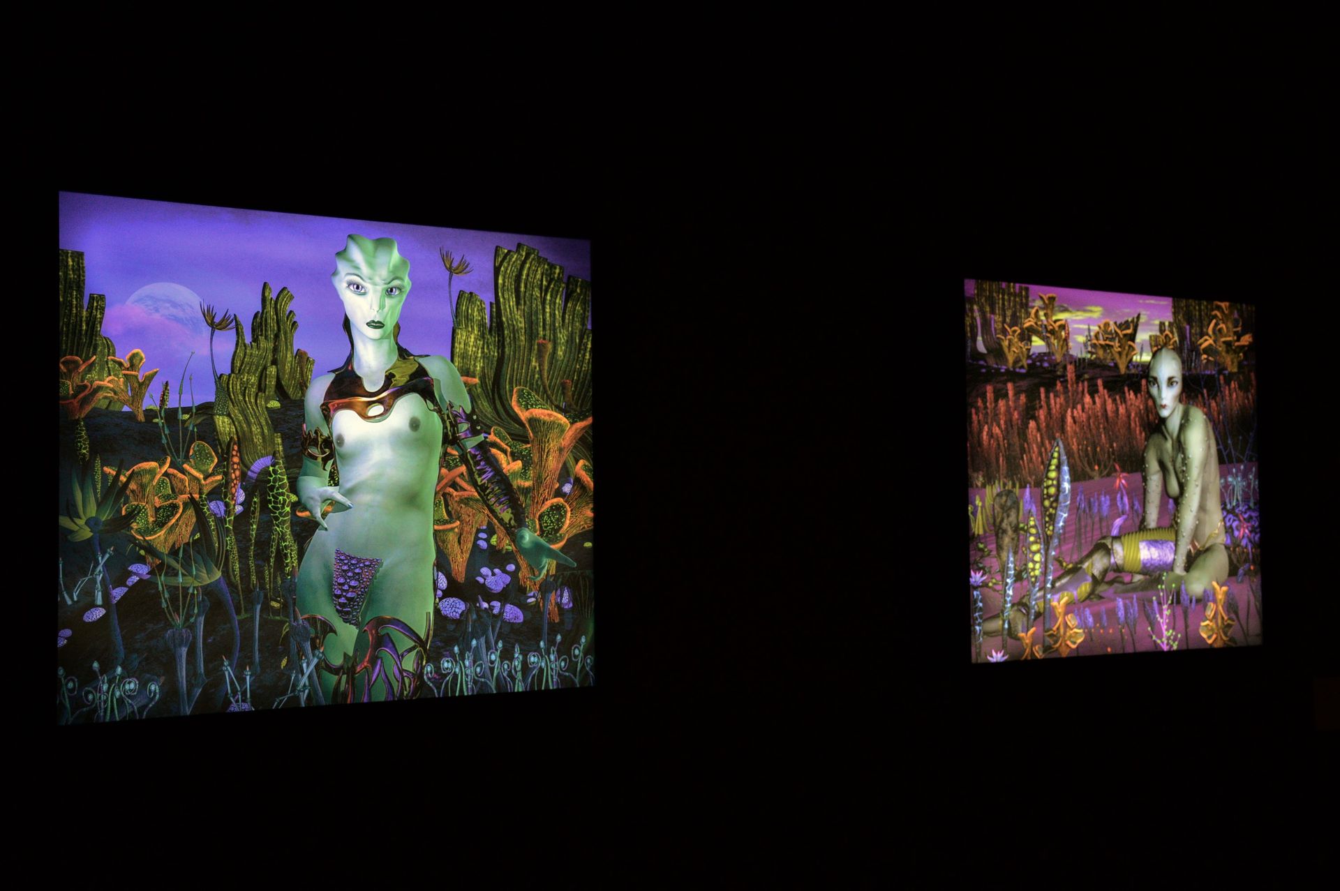 Reinos-Artificiales-Foto-Ireli-Vázquez-1