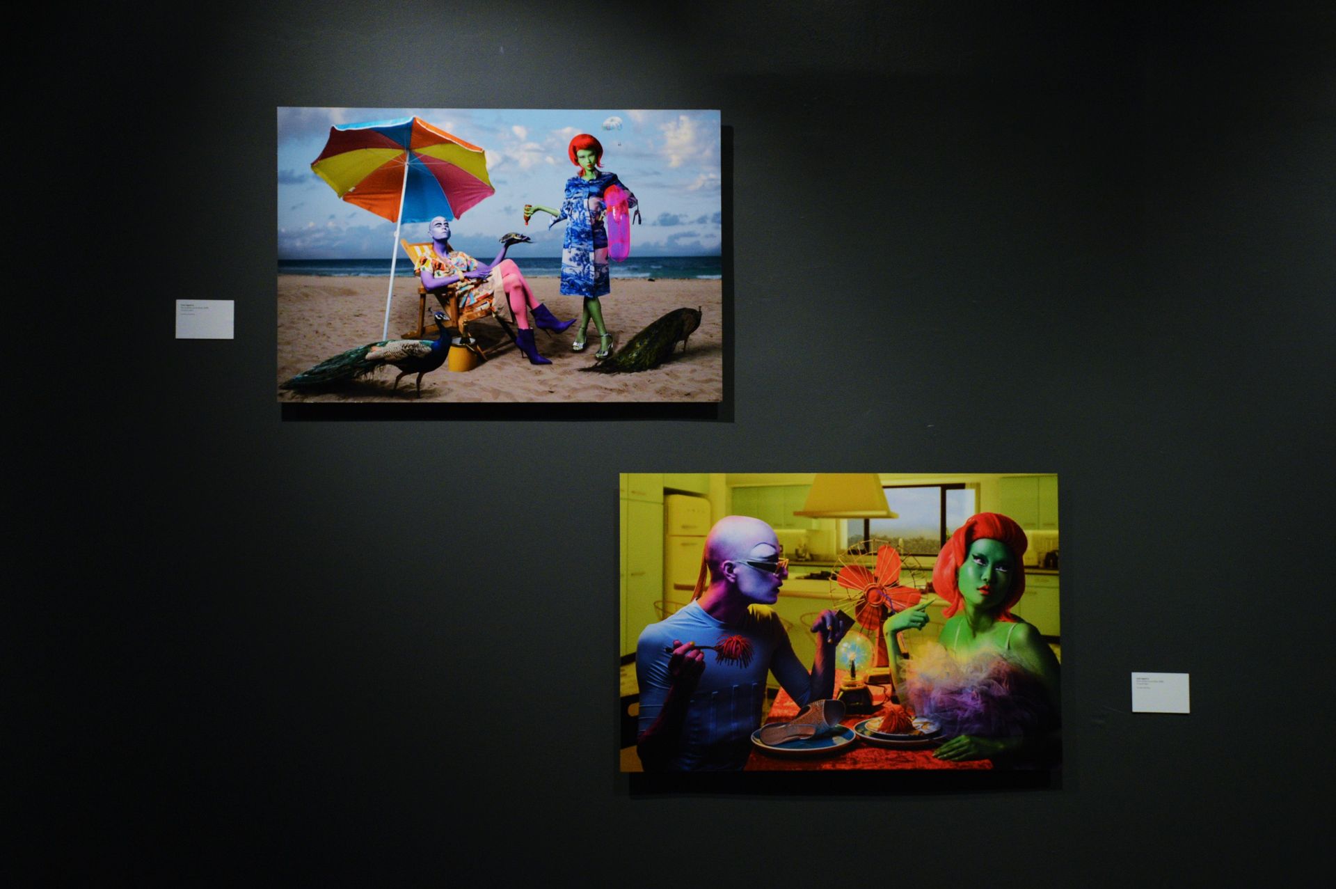 Reinos-Artificiales-Foto-Ireli-Vázquez-11