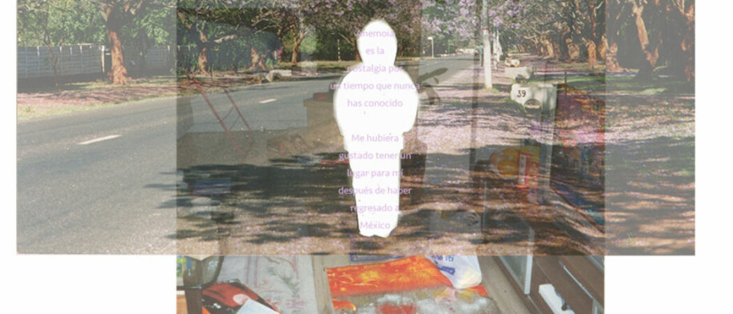 Diario de una mona china