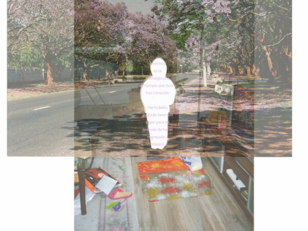 Diario de una mona china