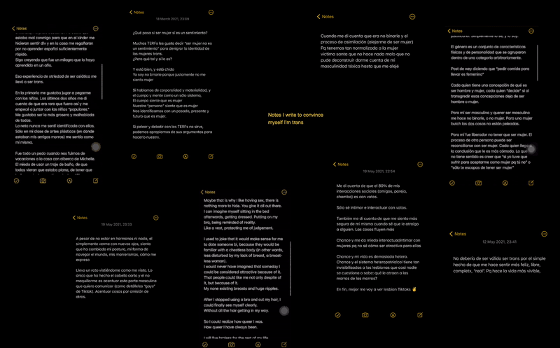 Notas que escribo para convencerme de que soy no binarie