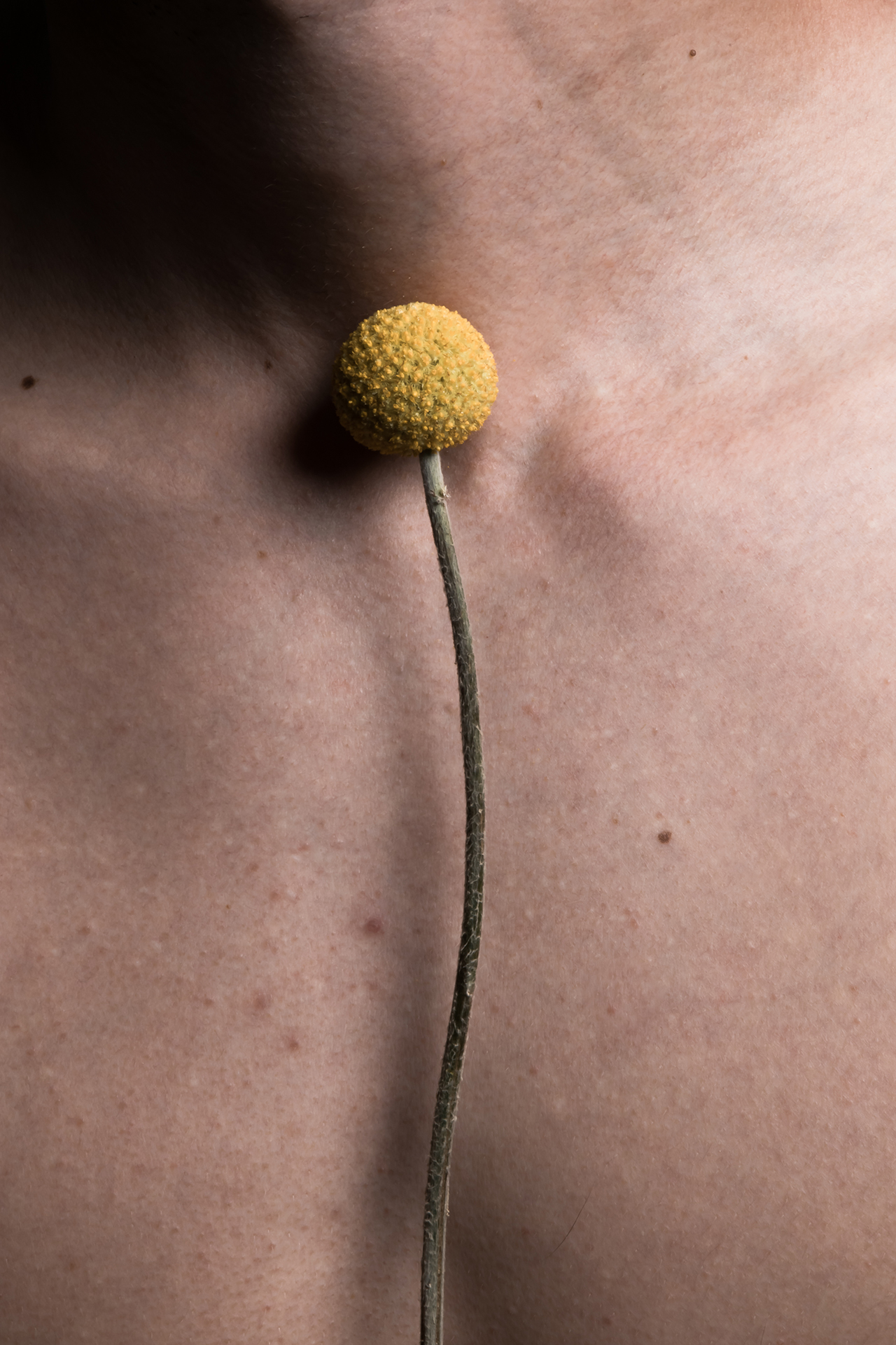 Serie confines, 2018. Fotografía digital.